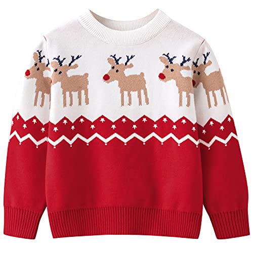 Pull de Noël rigolo pour les photos de famille et le matin du réveillon