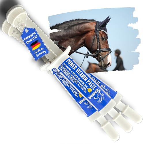 Oldie Mares Pasta Vitamínica para Caballos 3pc.