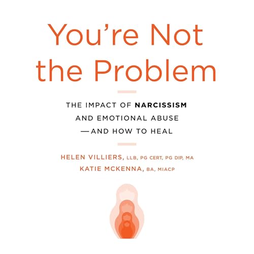 Page de couverture de You're Not the Problem