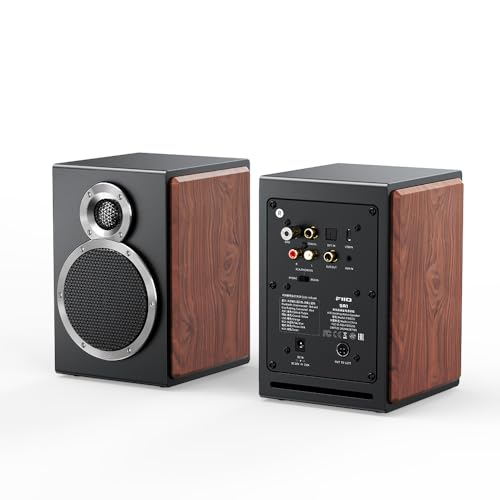 Amazon.co.jp: FIIO SA1 FIO-SA1【日本正規販売店より発送・シリアル