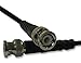RF/Coaxial Cable Assembly, BNC Straight Plug, BNC Straight Plug, RG58/U, 50 ohm, 6.5 ft, 2 m