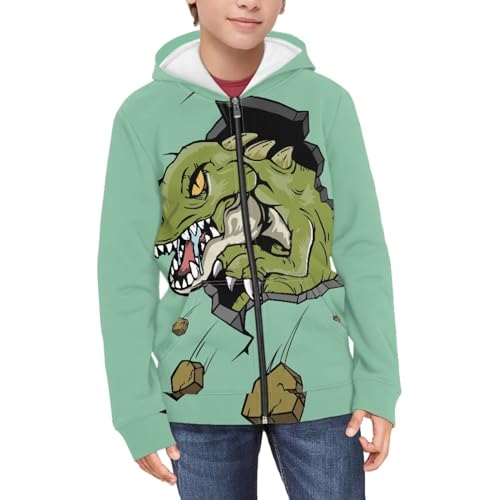 Boys Animal Print Zip Up Hoodies with Pocket Soft School Daily Fun Graphic Hoodie3