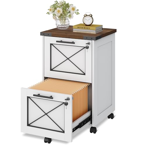 DEVAISE filing system for home office