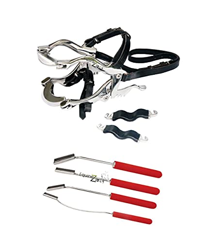 McPherson Equine Dental Speculum Kit – Stainless Steel Horse Mouth Gag with Leather Straps with 4-Pieces Dental Float Set with Blade,Veterinary Equine Dentistry Tools
