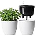 T4U Set De 2 Macetas Autorriego 17,5 Cm Con Indicador Agua, Maceta Autorriego Para Principiantes Y Ocupados, Macetas Decorativas Interior, Maceta Para Pothos Y Monstera, Uso Interior Exterior (Blanco)