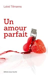 Book's Cover of Un amour parfait: Une romance singulière