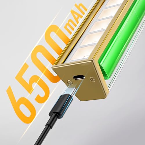 Image of Afyuol Picture Lights for Wall, Brushed Gold Battery Operated Picture Light 24in Art Light CCT Dimmable Recharging Battery Wall Light with Remote Control for Living Room Gallery