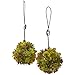 Nearly Natural 4959-S2 Mixed Succulent Hanging Spheres, 7-Inch, Green, Set of 2