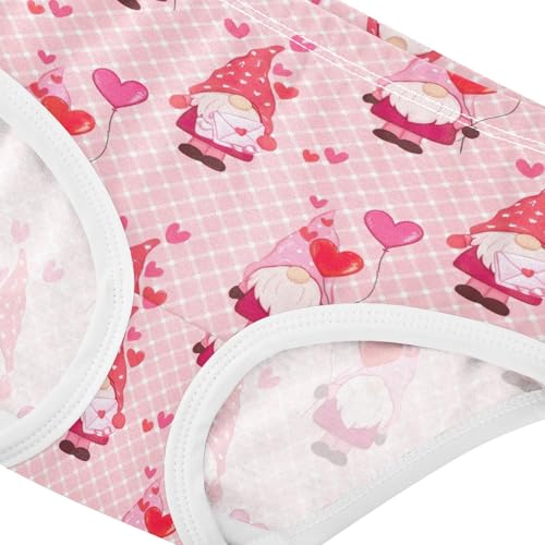 Joisal Cute Valentine Gnomes Pink Girl Panties Cute Toddler Girls Underwear Cotton Funny Underpants Briefs 2t4