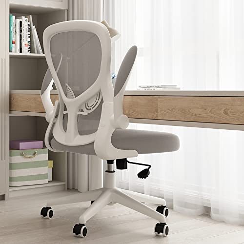 Hbada Ergonomic Desk Chair
