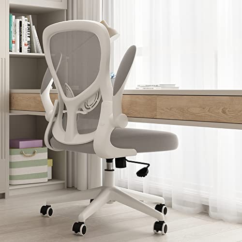 Hbada Office Chair, Ergonomic Desk Chair, Computer Mesh Chair with Lumbar Support and Flip-up Arms, Gray