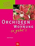 Orchideen für die Wohnung – so geht's: (Stopper:) Extra: Die schönsten Arten und Sorten auf einen Blick