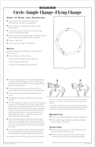 101 Arena Exercises for Horse & Rider – vue 5