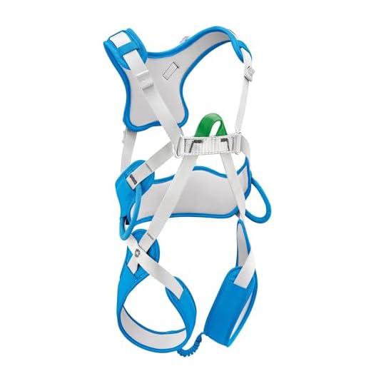Petzl Oustiti Full Body Climbing Harness - Kid's