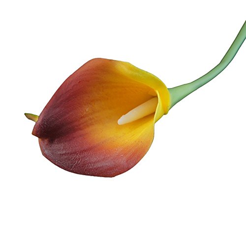 Angel Isabella Lot of 60-Real Touch Calla Lilies (2-Tone-Burgundy Yellow)