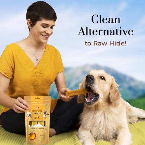 Dogsee Himalayan Yak Cheese Dog Chews with Turmeric/Curcumin (Medium - 2 Chews) | Dog Chews Long Lasting | Anti-inflammatory | Dog Chews for Teeth Cleaning | Odorless Dog Treats
