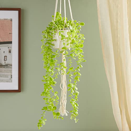 Juvale Hanging Artificial Eucalyptus Plant With White Ceramic Pot For Wall Decor, House Warming Gift (31 In, 2 Pack) #TOP1
