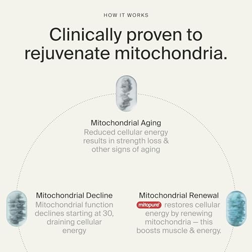 Image of Timeline Mitopure Urolithin A Supplement Gummies - Clinically Proven Support for Healthy Aging Cellular Energy Muscle Strength and Longevity