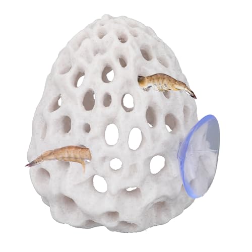 Penitue Shrimp Hides for Aquarium, Multi-Hole Shrimp Dome Hide with Suction Cup Coral Design Betta Fish Toys Fish Tank Accessories for Guppy and More Hiding Resting (White)
