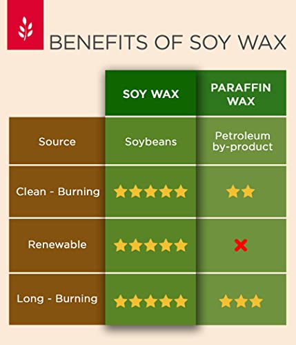 Stillwater Bath And Body Nag Champa Odor Eliminating Scented Candle For Home - Non-Toxic, Long Lasting, All Natural Soy Wax Candle - 12.5 Ounce Jar With Lid - Handmade In The Usa #TOP3