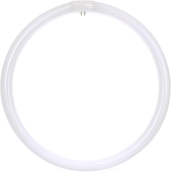 Sunlite 41315 FC12T9/CW T9 Round Fluorescent Circline Lamp, 32 Watts, 2100 Lumens, 4100K Cool White, RoHS Compliant, G10Q 4-Pin Base, 1 Pack