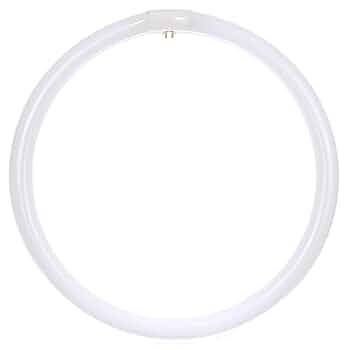 ハーディーサファイアLT-7'10''#3 Panache 10 Light Down Chandelier With Medallion Gold Finish