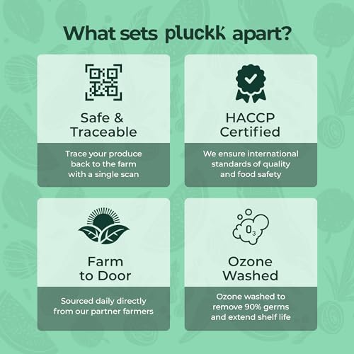 Pluckk Fresh Ozone Washed Zucchini Green, 1 Pcs (approx 250-300g)