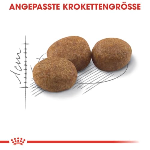 ROYAL CANIN STERILISED Trockennahrung für Katzen – 4 kg