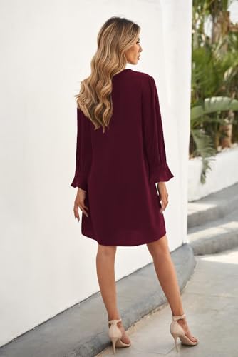 Image of Wkior Womens Fall Ruffle Long Sleeve V Neck Shift Dresses (S-XXL)