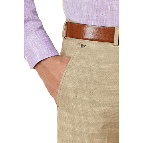 Image of blackberrys Stripes Polyester Viscose Slim Fit Mens Trousers (S22BB45A2IS22F1-P)