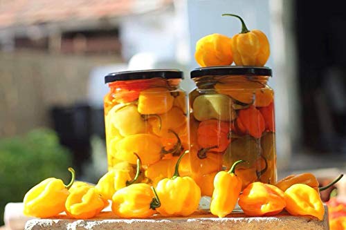 Ungarische Eingelegte HOT Habanero Paprika extra scharf 720ml aus Kalocsa – Bild 6
