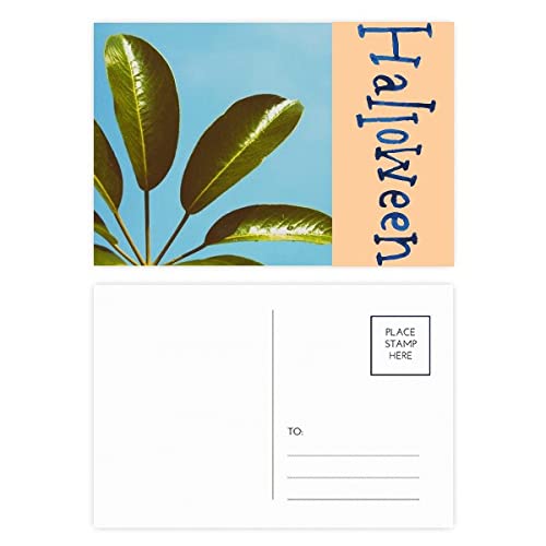 Cartes postales d'Halloween Lot de 20 pour invitations et décoration de table