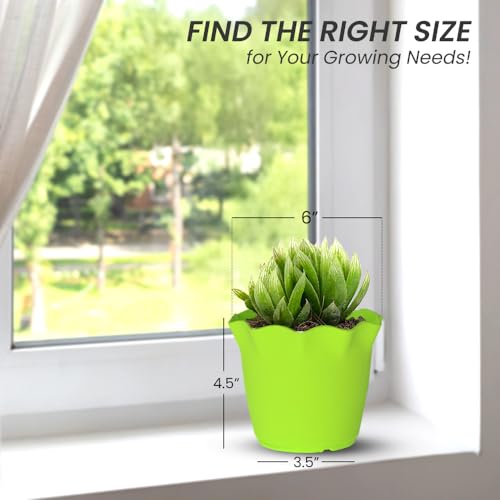 Image of YUCCABE ITALIA SHERA 6 Inch Plastic Flower Pot 6 Piece Set of Unbreakable Round Shape Planter for Home Garden Seedling, Indoor and Outdoor (Green)