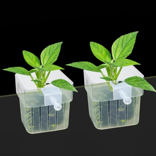 Image of SANSEFERO Water Plant Holder Pot Cup for Aquarium Fish Tank Decoration and Aquascape Aquaponic Plant Growing Landscape Plants Cup Decoration Hanging Type (Pack of 2)