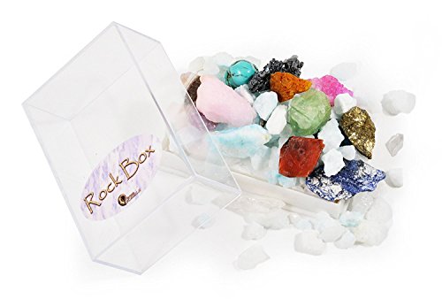 Fossil, Rock and Gemstone Box Collection. Set of 3 Boxes