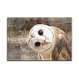 Toile Peinture Tableau d oiseaux sur toileAnimaux Art mural couleur martin pêcheur images d animaux sauvages pour la Decoration murale 30x45cm
