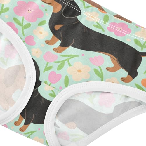 Organic Cotton Panties Breathable Triangle Panties Organic Underwear for Toddler Girls in Sizes 2T-8Y4