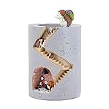 Segreto Creative Plants Pots Brush Pots for Succulent Plants with Sweet Hedgehog