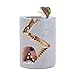 Segreto Creative Plants Pots Brush Pots for Succulent Plants with Sweet Hedgehog