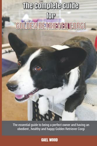 The Complete Guide for Golden Retriever Corgi: The essential guide