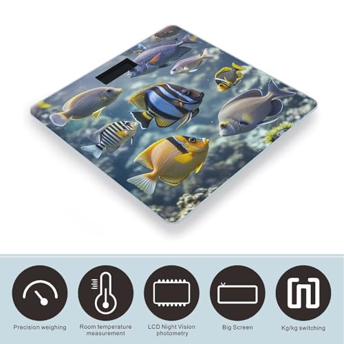 Báscula digital Different Fish con vidrio templado y pantalla LCD miniatura 3