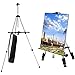 Caballete de Pintura, Caballete Trípode de Aluminio, Altura Ajustable da 60 a 162 cm, Estable y Liviano, Caballete de Campo Plegable con Bolsa de Transporte, Multifuncional para Pintar, Póster (Plata)
