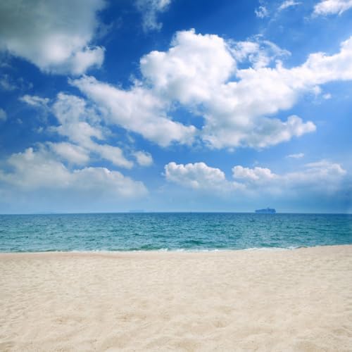 AOFOTO 10x10ft Summer Beach Photography Backdrop Hawaiian Luau Background Wedding Holiday Seaside Blue Sky Clouds Sand Lovers Adult Boy Girl Portrait Vacation Photo Shoot Studio Props Vinyl Wallpaper