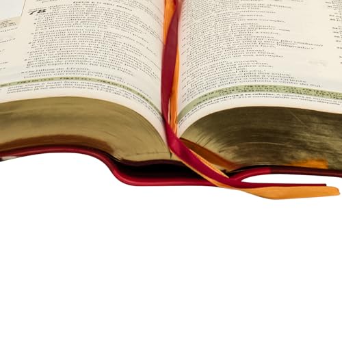 Bíblia de Estudo Igreja Primitiva - Imagem 6