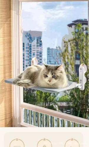 L^̑ӗpzՃnbŃAőϋvA^Ő܂肽݉\AɌX΂fUCł bVnōĂAO[ƃJ[L2F炨Iт܂BG߂ɂ̓O[̃xxbgfރo[WpӂĂ܂B\ł