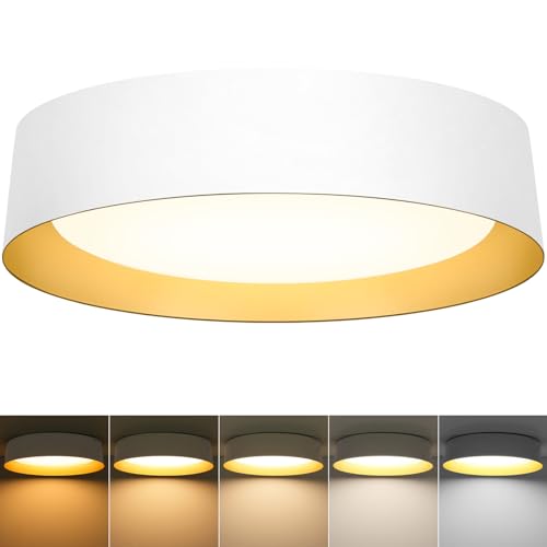 Image of Flush Mount Ceiling Light, 16in Modern Ceiling Light 5 Color Temperature