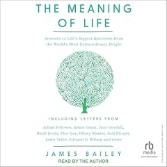 The Meaning of Life Audiolibro Por James Bailey arte de portada