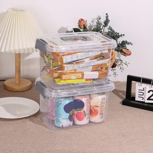 Bac de rangement transparent 6L avec couvercle | Lot de 6 boîtes plastique