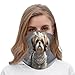 VTCTOASY Shih Tzu Dog Neck Gaiter Personalized Soft Windproof Face Covers Cozy Winter Neck Warmer Gator Scarfs Multipurpose Fashion Breathable Bandana Face Mask Scarf for Adult