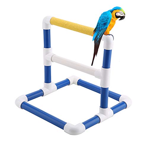 Parrot Training Stand and Bird Perch for Shower Bath PVC Play Gym with Grinding Toy Holder, Bird Standing Platform for Pet Birds